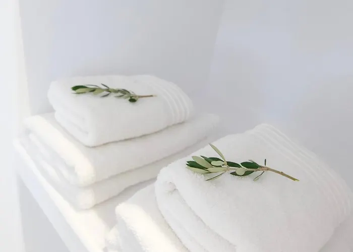 Apart Otel Alexander 4*