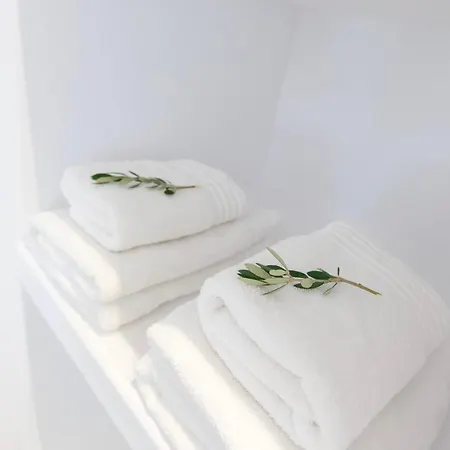 Aparthotel Alexander 4*